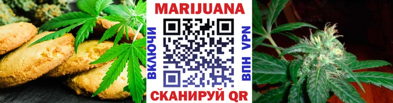 KRAKEN сайт Гаврилов Посад Cannafood конопля наркошоп