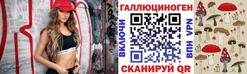 сколько стоит  дарк нет телеграм  Псилоцибиновые грибы прущие грибы  Гаврилов Посад 